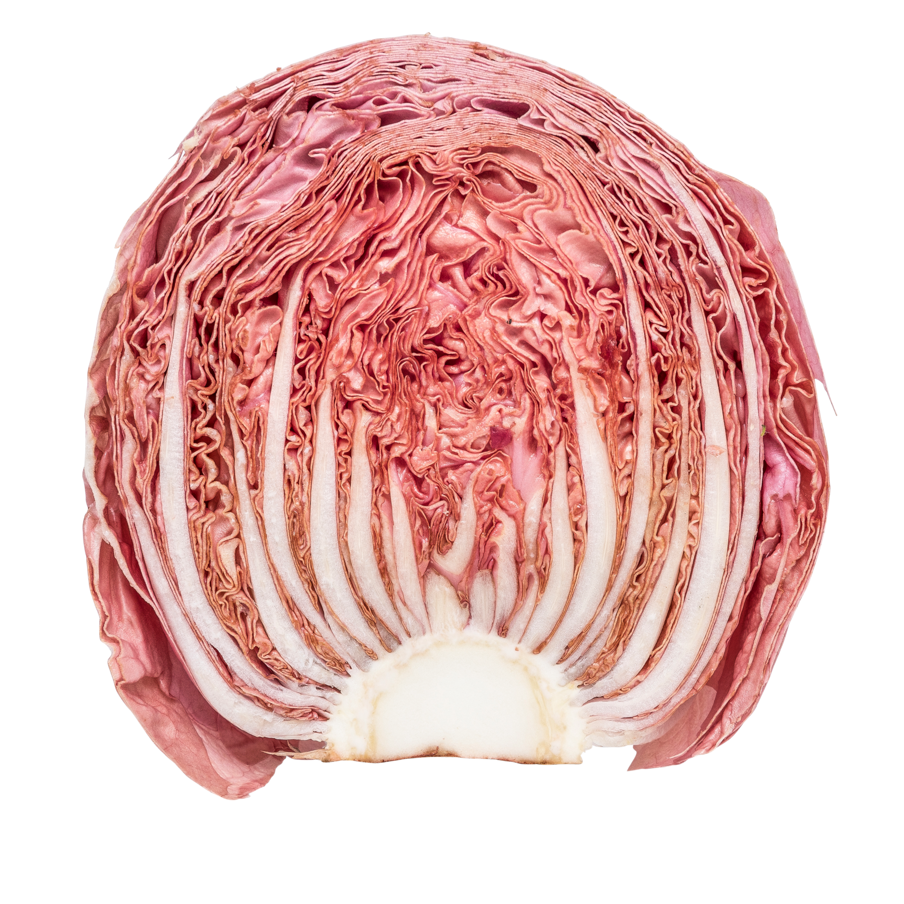Radicchio Salmonato 4 kg