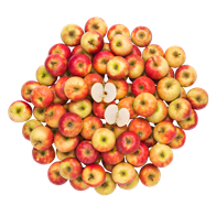 Æbler Elstar, 13 KG