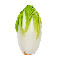Julesalat 5 kg DK