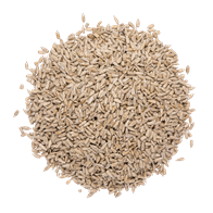 Solsikkekerner 5 kg