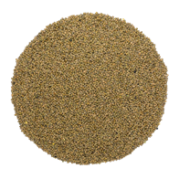 Linser grønne franske 5 kg