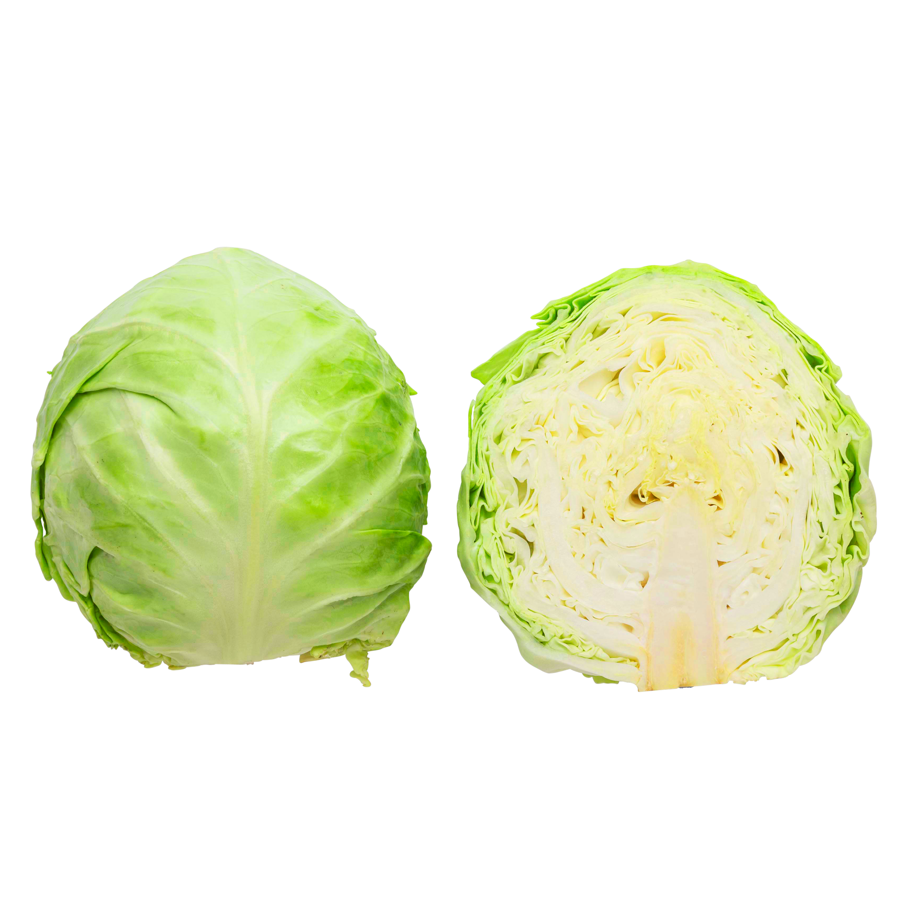 Hvidkål 8x800-1500 g