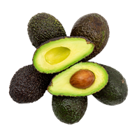 Avocado modnet 20-22 stk.