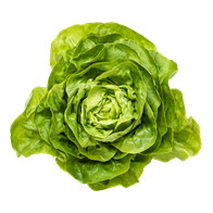 Hovedsalat 8 stk. DK