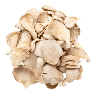 Østershatte 1,5 kg