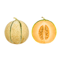 Melon Charentais 12 stk.