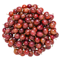 Stikkelsbær 125 g