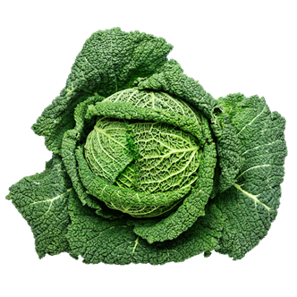 Savojkål 8x600 g+ DK EAN