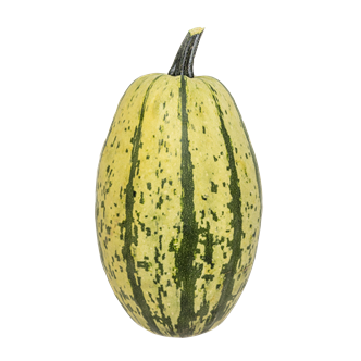 Spaghettisquash 8x1-2 kg DK