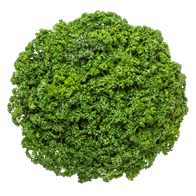 Kruspersille 1 kg
