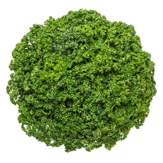 Kruspersille 140 g