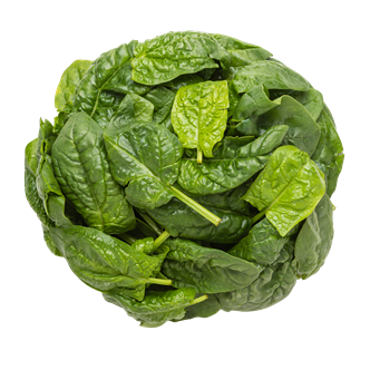 Bladspinat 5 kg