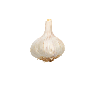 Hvidløg 2 kg