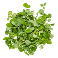 Ærteskud 100 g