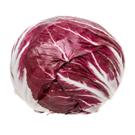 Radicchio Tondo Rosso 16 stk.