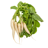 Radiser hvide 10x250 g+