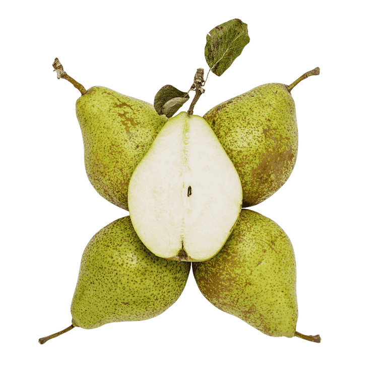 Pærer Katrine 14 kg DK