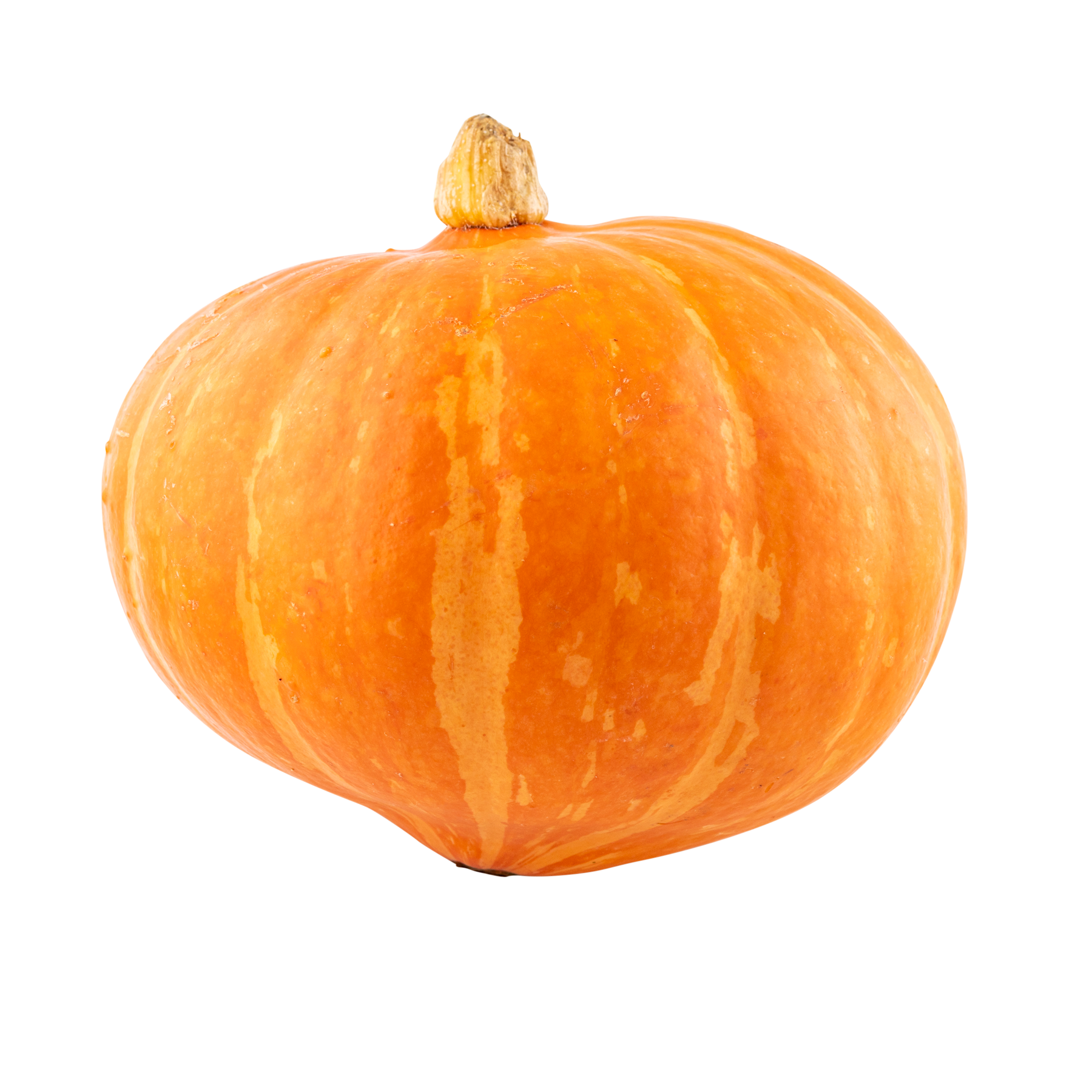 Hokkaido 8x700-1300 g