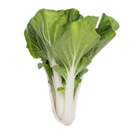 Pak choy 24x150 g+ DK
