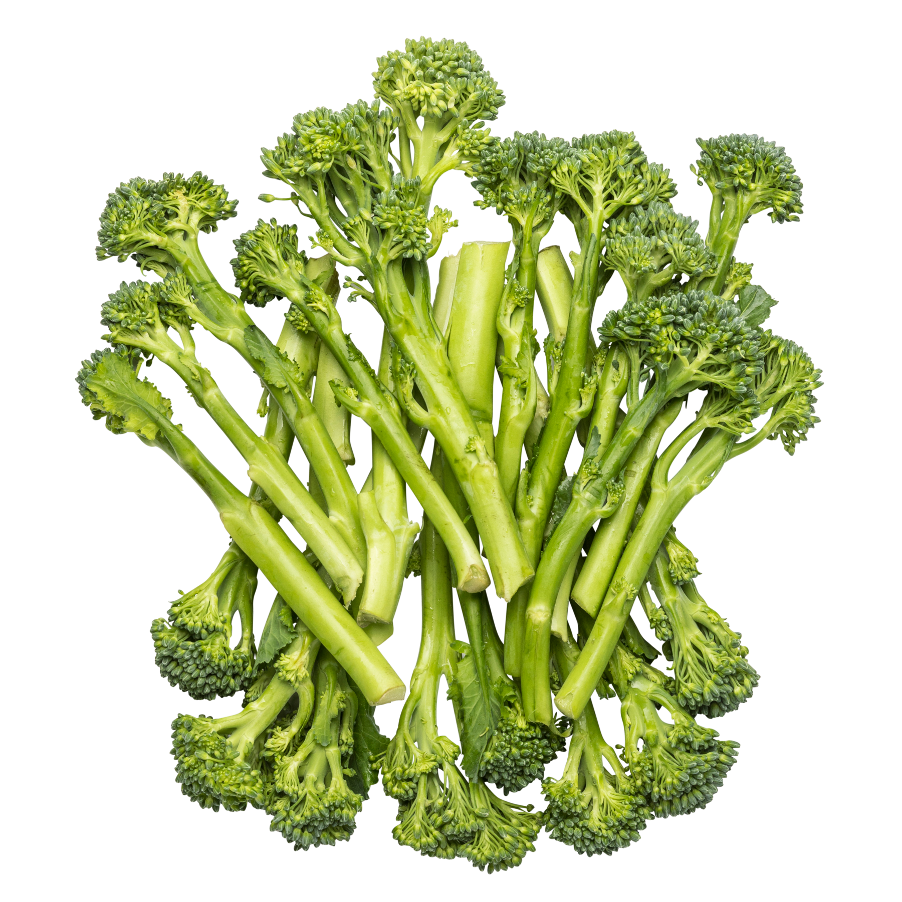 Aspargesbroccoli 10x200 g