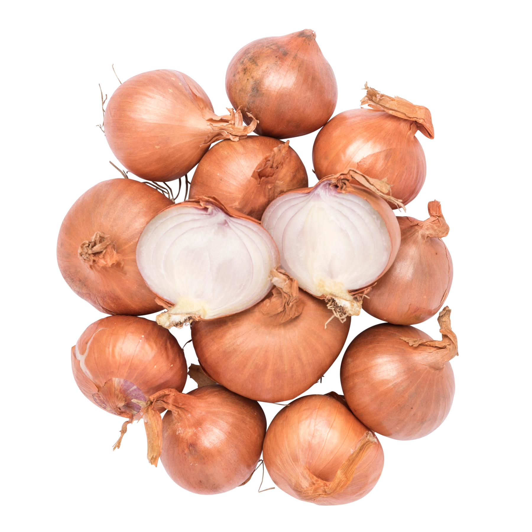 Skalotteløg 5 kg DK