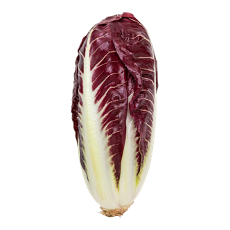 Radicchiosalat 10x200 g+ DK