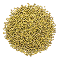 Mungbønner 5 kg