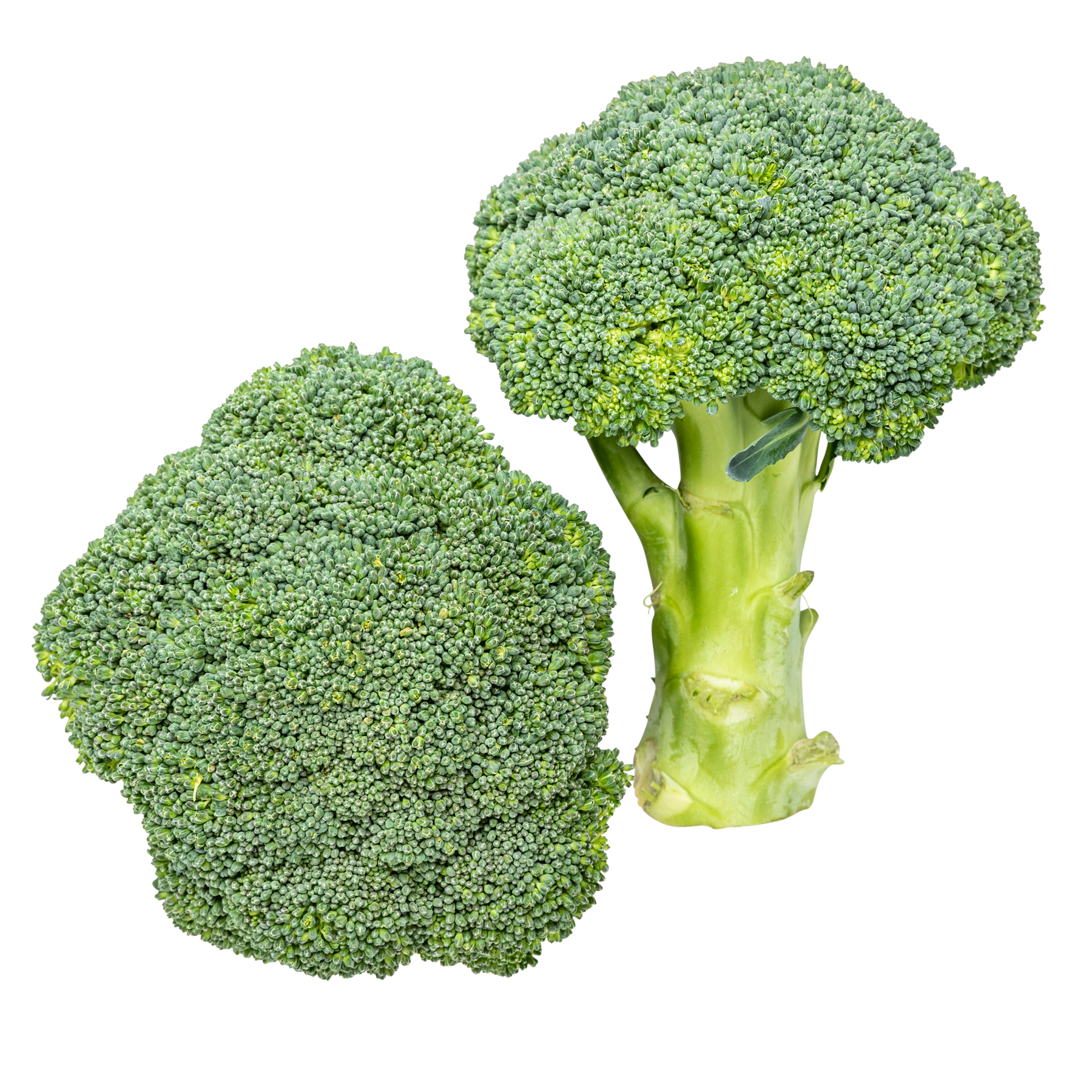 Broccoli 10x400 g
