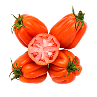 Tomat Coeur de Beuf 10x500 g