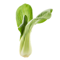 Pak Choy 24x100 g DK
