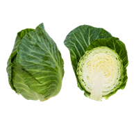 Sommerhvidkål 10x400-600 g DK