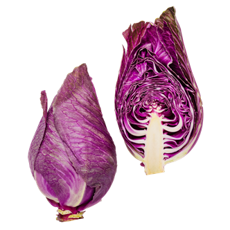 Spidskål rød 10x300-500g DK