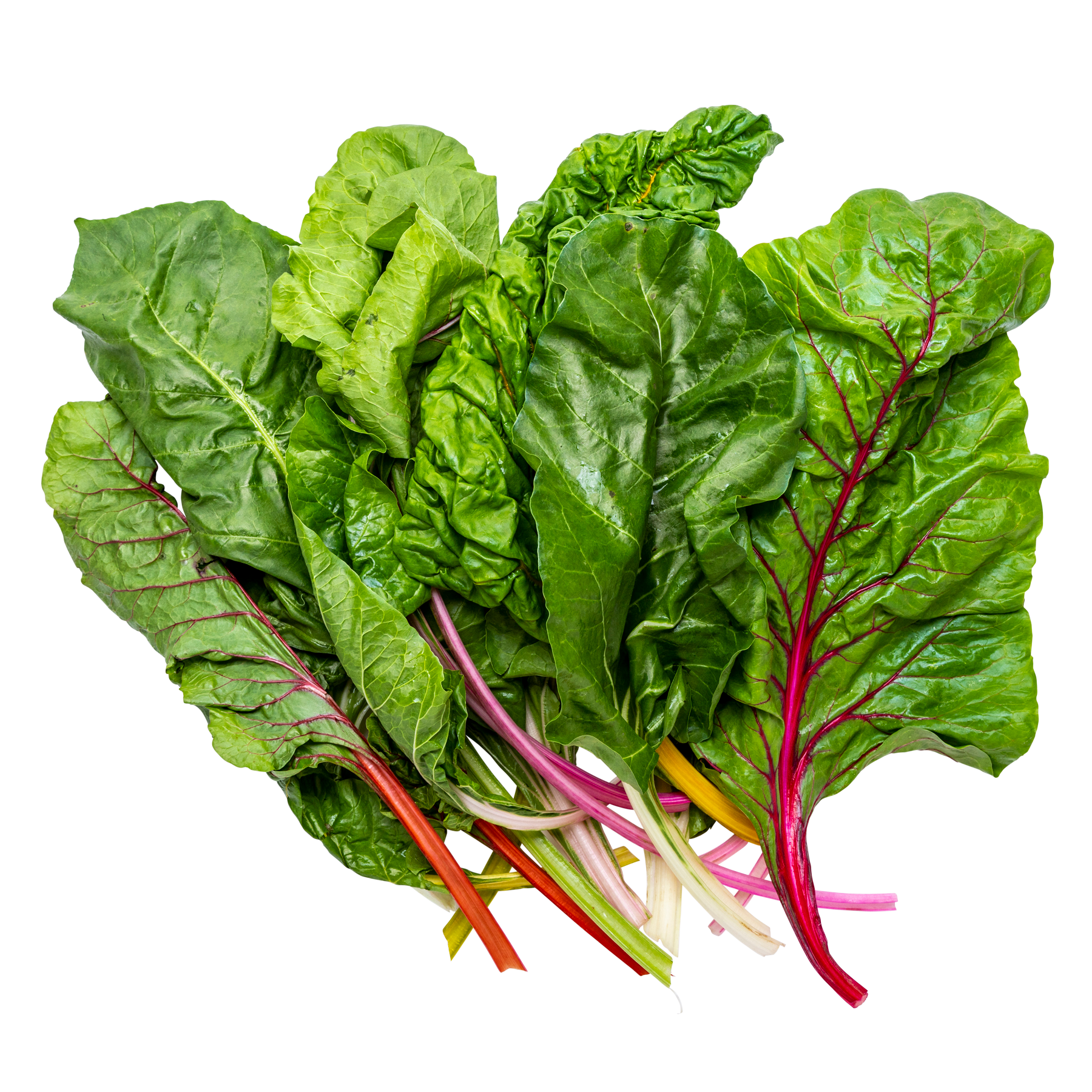 Bladbeder farvemix 2 kg