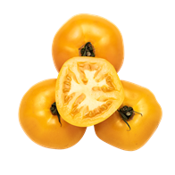 Momotaro-tomater 10x500 g
