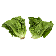 Hjertesalat grøn 12x2st DK EAN