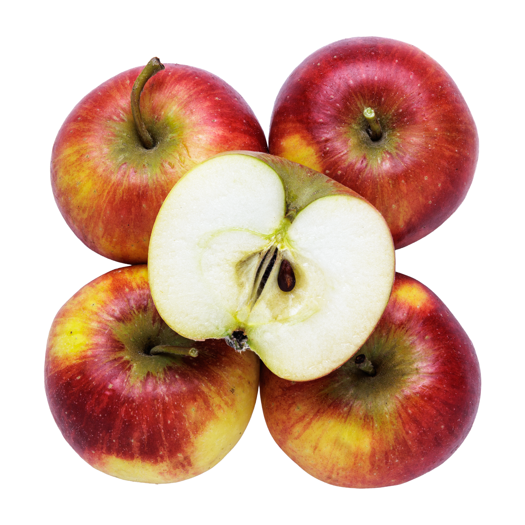 Æbler Rubinstep55/65mm 12kg DK